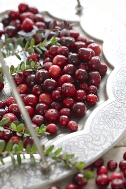 Vaccinium Early Black фото